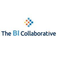 The Bi Collaborative